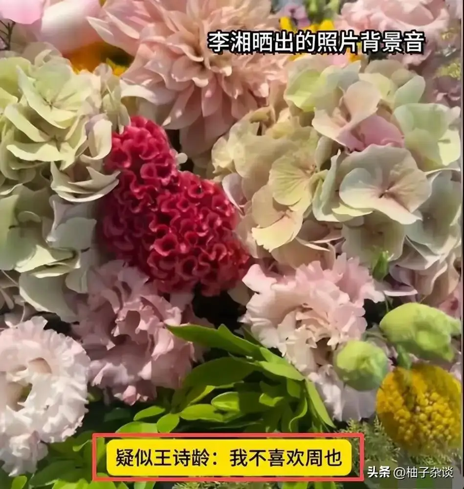 王诗龄我不喜欢周也_娱乐圈里明星的黑料,_李湘富养方式被群嘲